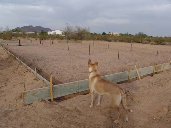 07_Sadie_Checking_Forms